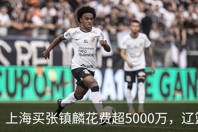 上海买张镇麟花费超5000万，辽篮赚大了王朝却为何崩塌？